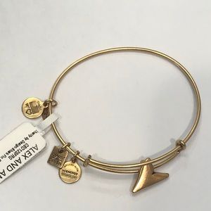 RETIRED Alex and Ani Gold Shark Fin Bracelet